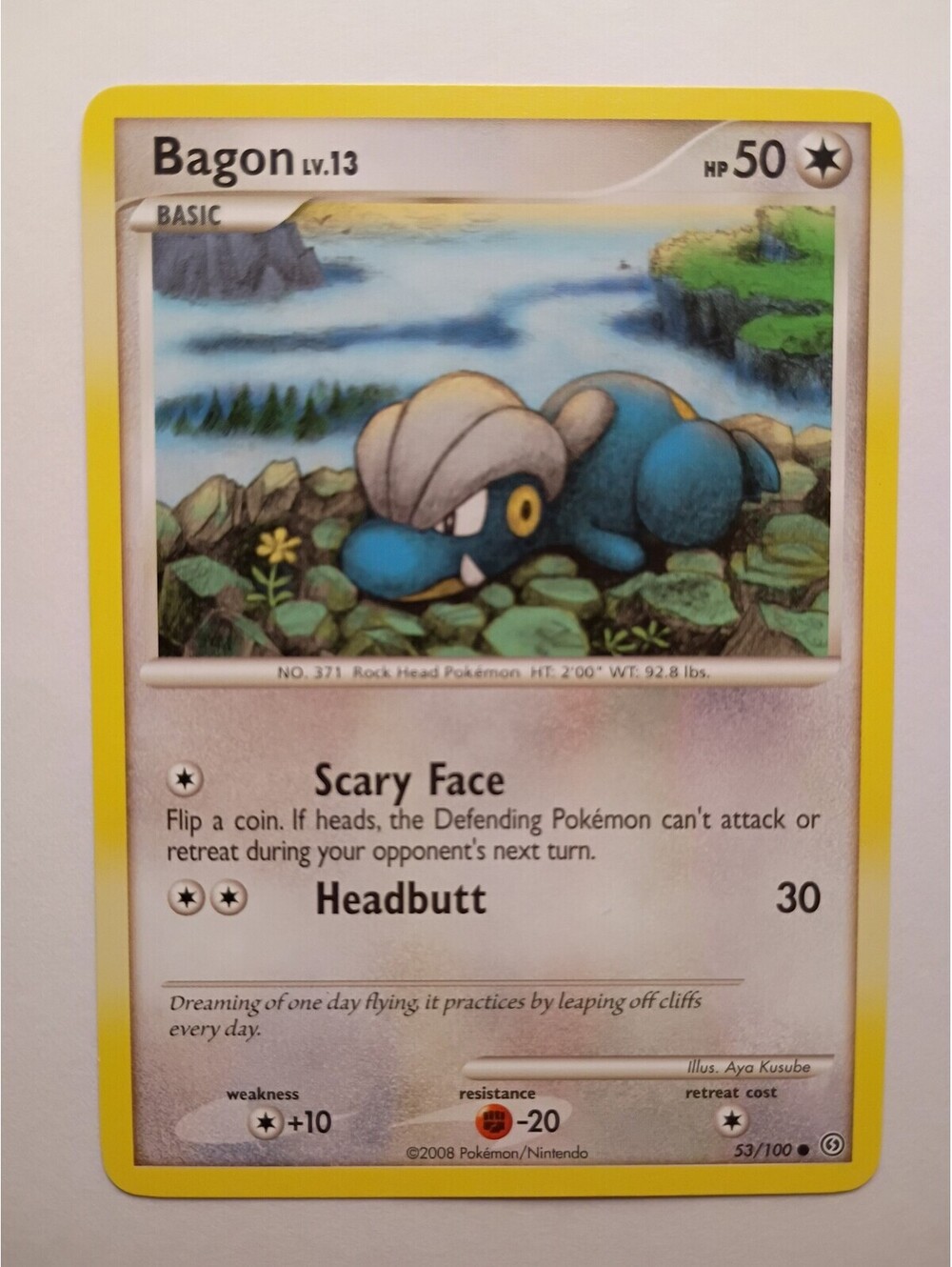 Pokemon TCG Bagon LV.13 non Holo 53/100 2008